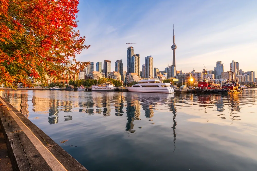 Toronto skyline and harbour in autumn